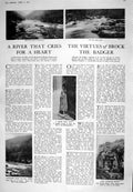 Old 1925 Badger Eagle'S Rock Broad Stone Benjy Tor Woman'S Window Fur 20th