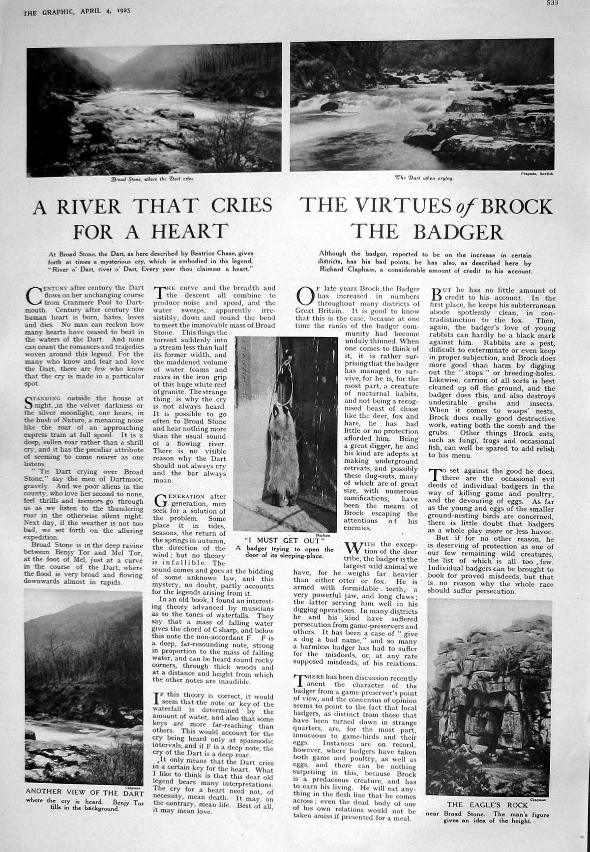 Old 1925 Badger Eagle'S Rock Broad Stone Benjy Tor Woman'S Window Fur 20th