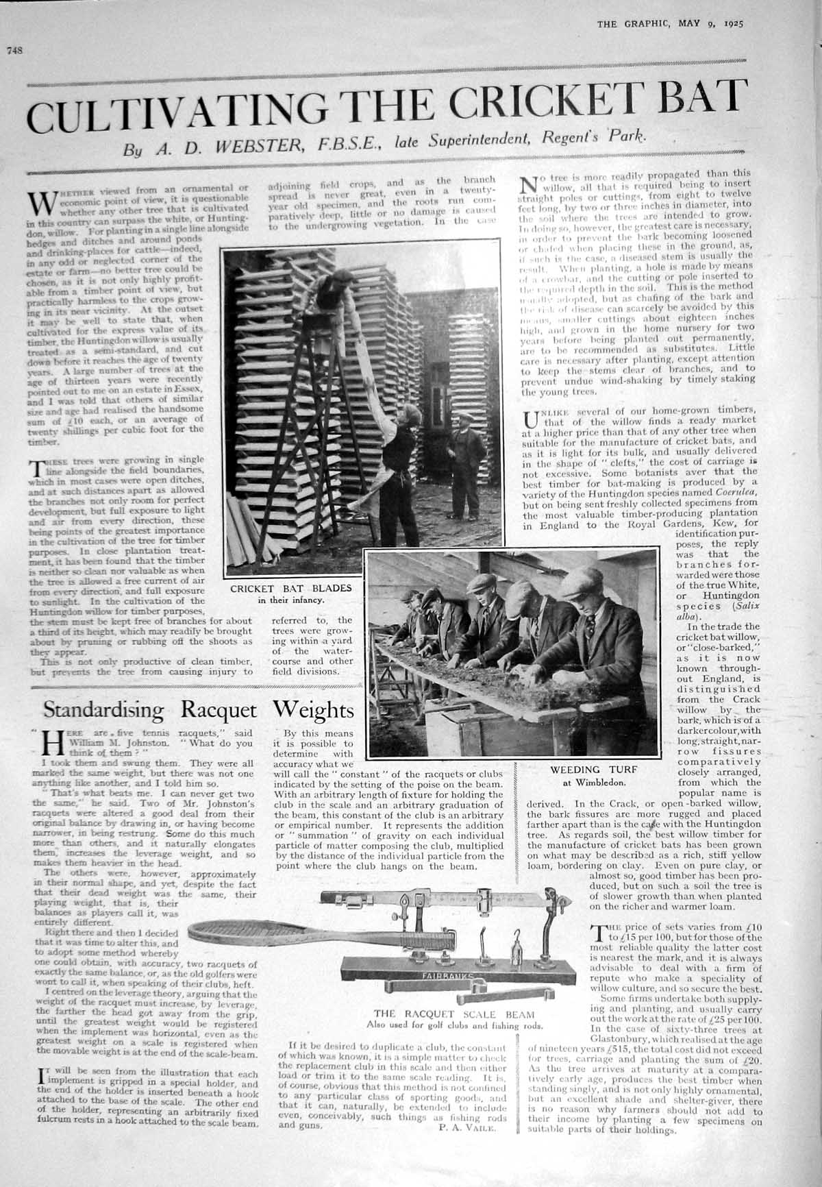 Old 1925 Cultivating Cricket Bat Blades Racquet Scale Beam Weeding Wi 20th