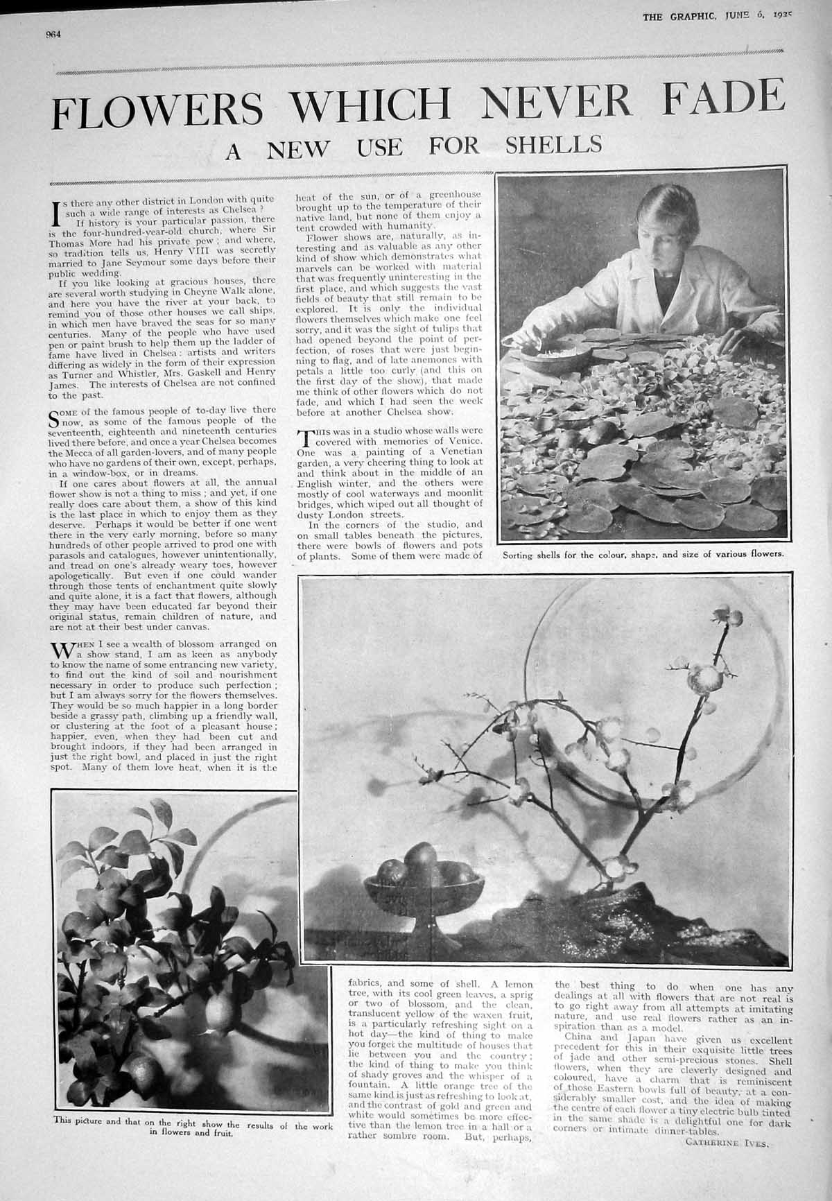 Old 1925 Shells Flowers Fruit Photograph Advertisemet Horlick'S Malte 20th