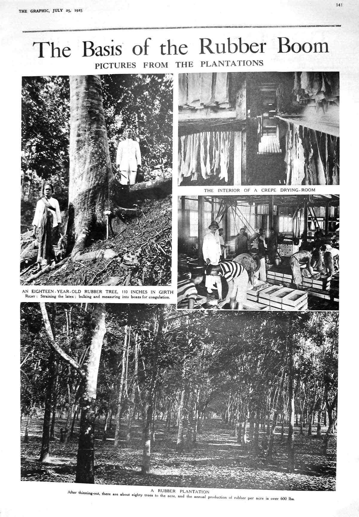Old 1925 Rubber Tree Plantation Crepe Drying Room Khor Arbatt Red Sea 20th