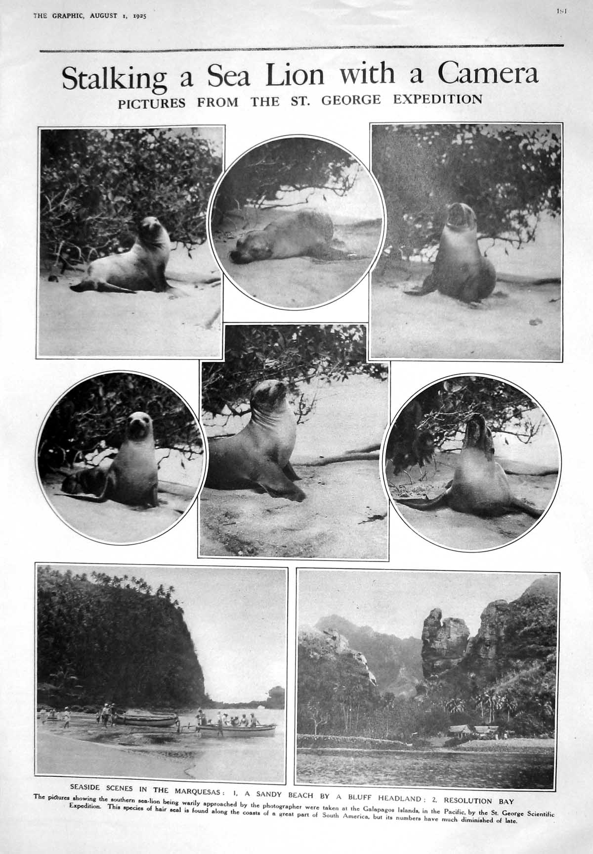 Old 1925 Sea Lion Marquesas Resolution Galapagos Theatre Hale Buchana 20th