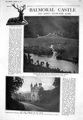 Old 1925 Balmoral Castle Forest River Dee Deer Stalking Spaniel Dogs 20th