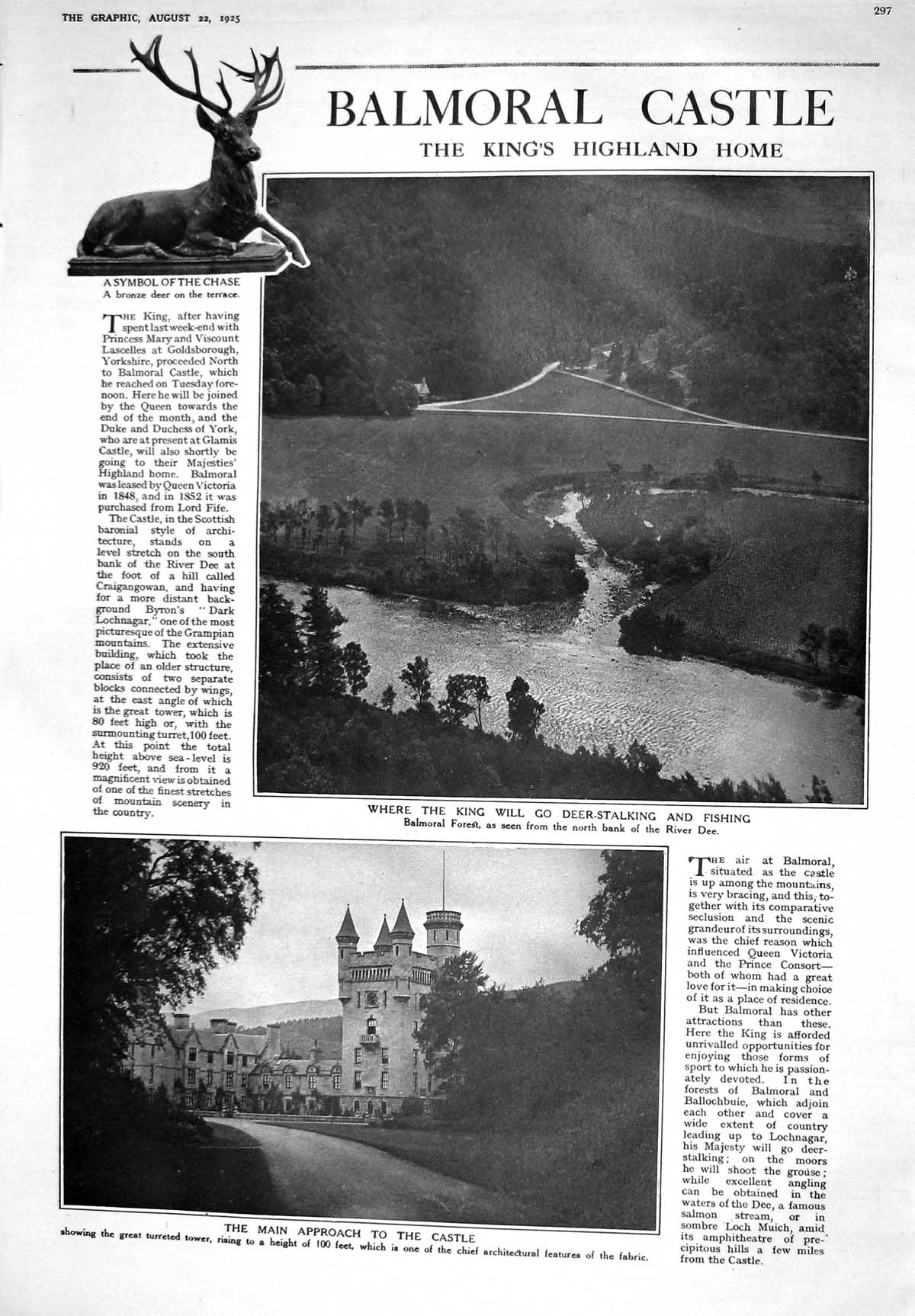 Old 1925 Balmoral Castle Forest River Dee Deer Stalking Spaniel Dogs 20th
