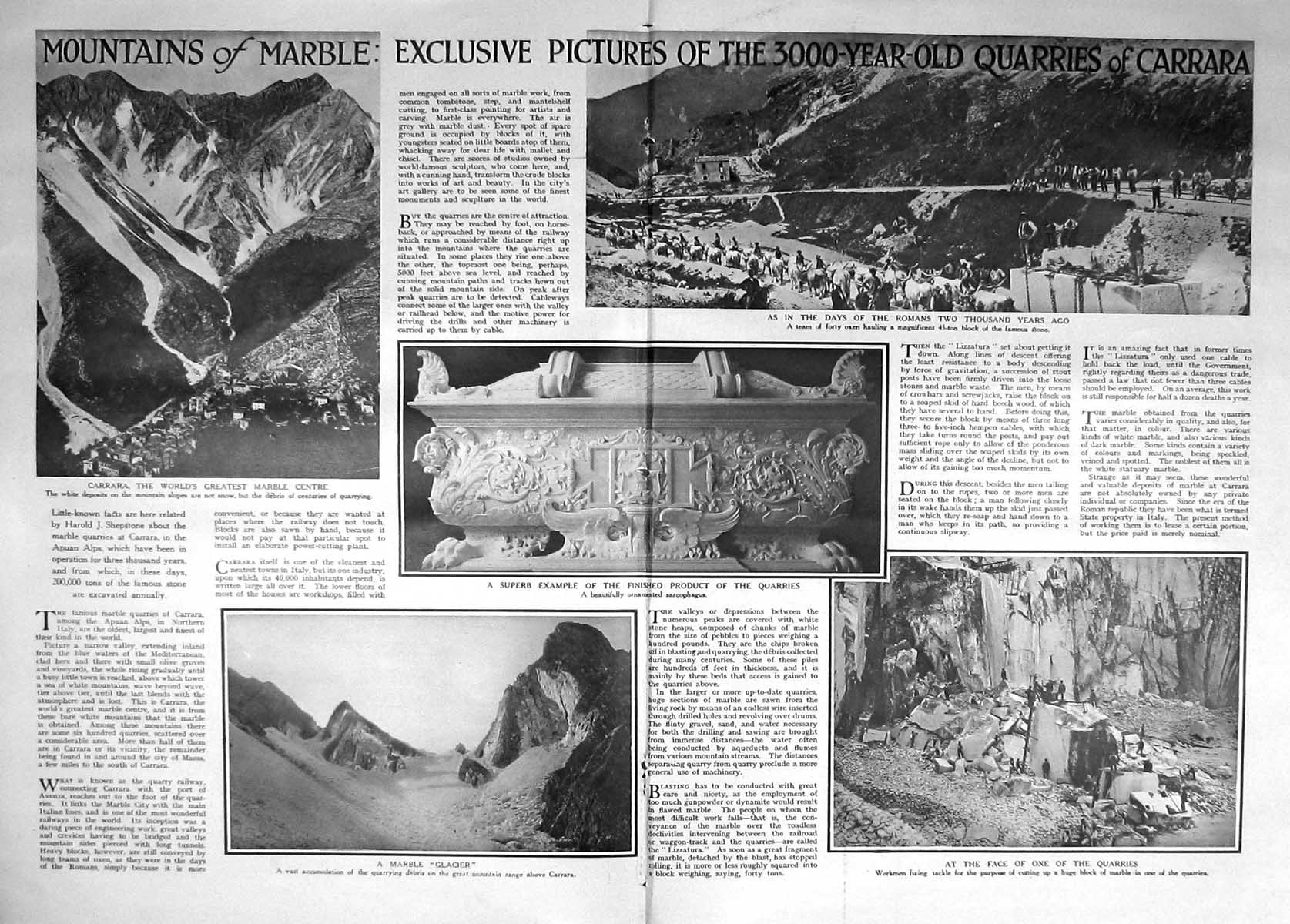 Old 1925 Sea-Serpent Tropical Sea Snakes Mountains Marble Carrara Qua 20th