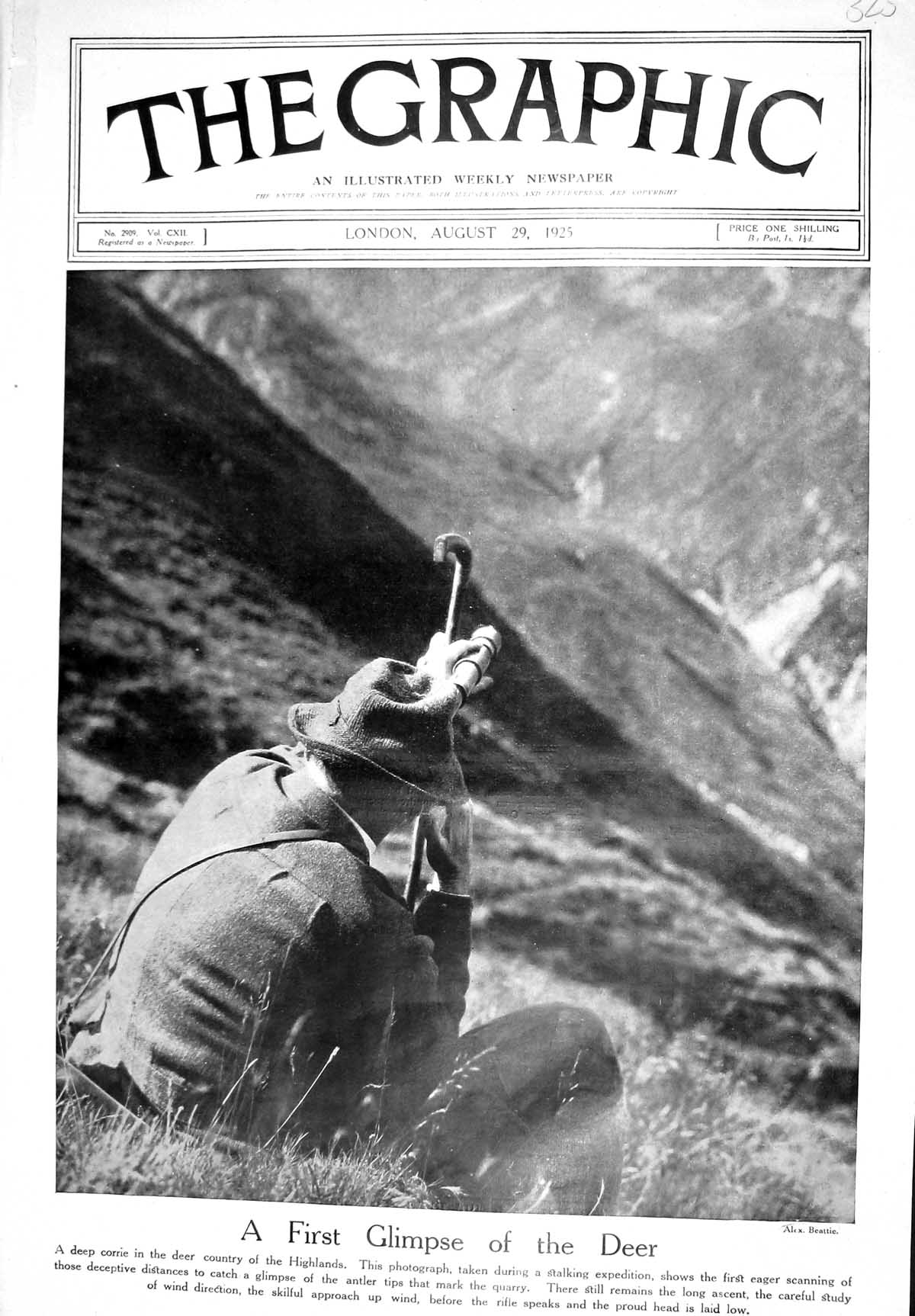 Old 1925 Stag Deer Hunting Highlands Scotland Tennis Alvanez Sam Pola 20th