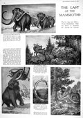 Old 1930 Mammoths Primeval Animals Anni Rutz Alois Lang Mary Magdalen 20th