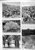 Old 1930 Badlands California Crystal Oasis Death Valley Desert Paris 20th