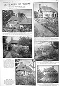 Old 1930 Cottage Bracken Thatch Roofs Fashion Lizard Skin Scarf Leath 20th