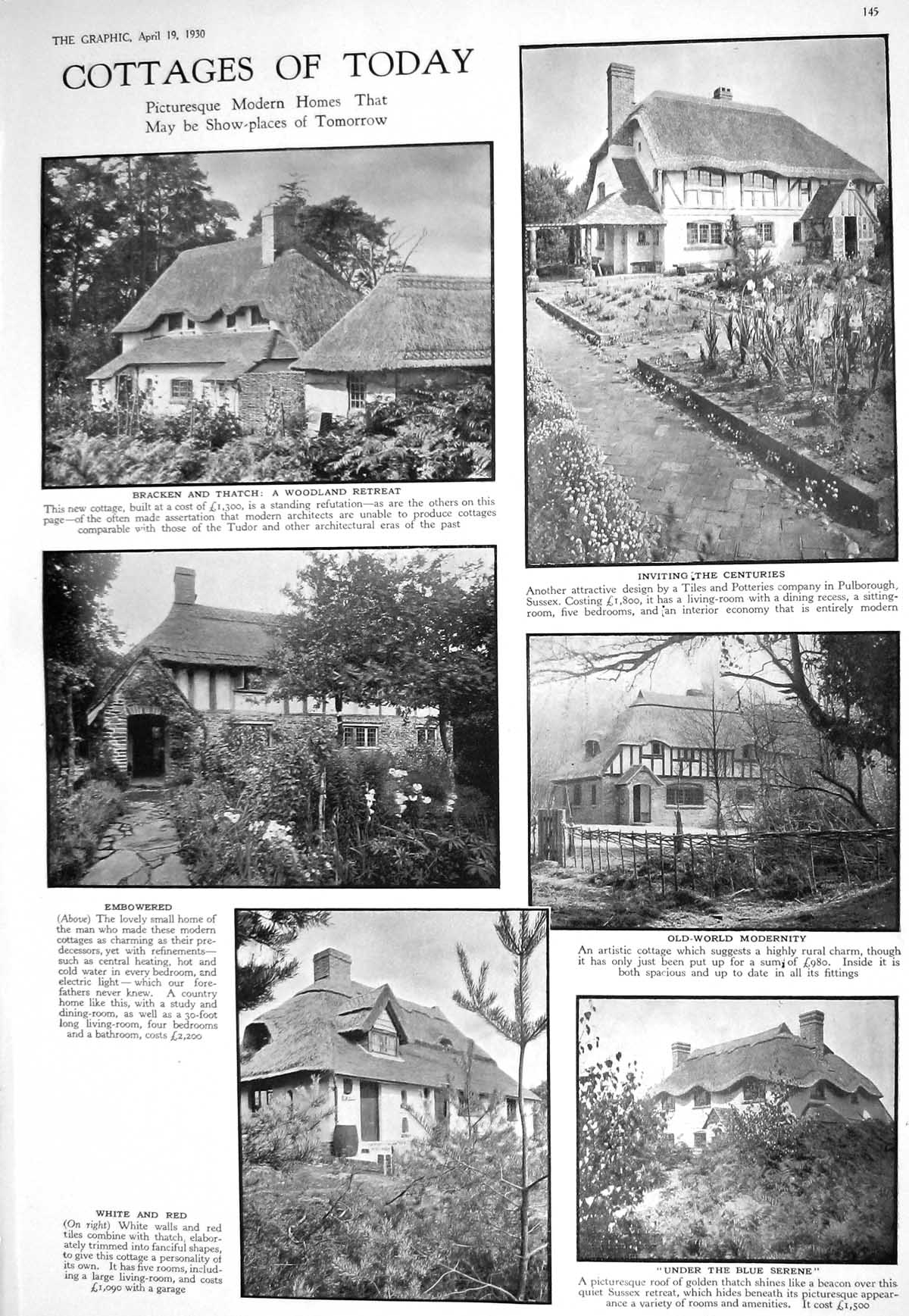 Old 1930 Cottage Bracken Thatch Roofs Fashion Lizard Skin Scarf Leath 20th