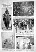 Old 1930 Cambridge Elephant Zoo Snowden Avanguardisti Boy Scouts Duch 20th