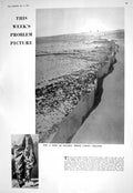 Old 1930 Locusts Rampart Zinc Jerusalem Coiffure Art African Eton Cro 20th