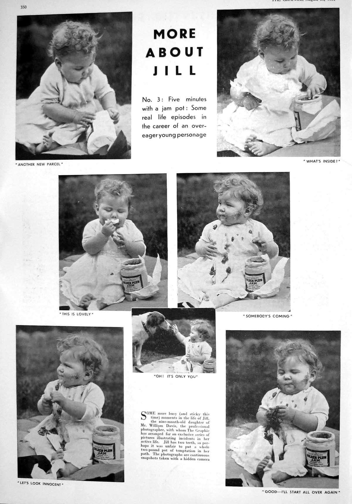 Old 1930 Photographs Little Girl Jill William Davis Grand Hotel Dog P 20th