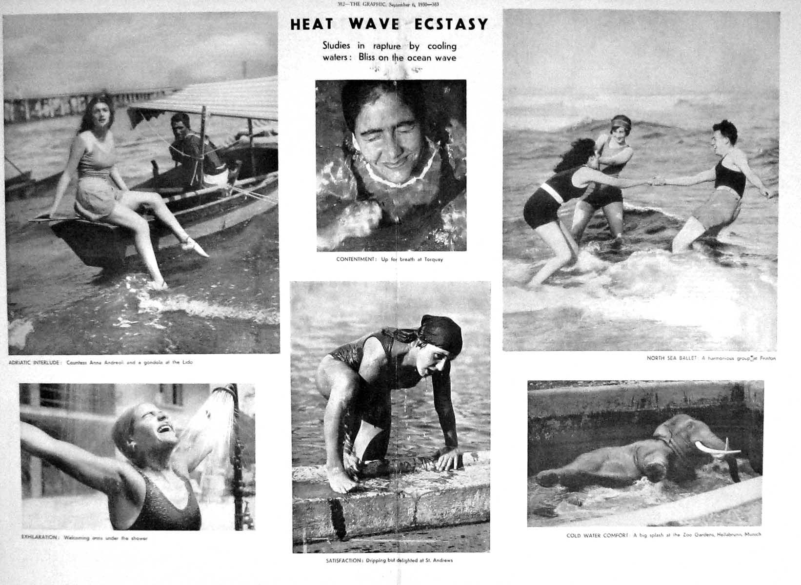 Old 1930 Gandhi Heat Wave Frinton Zoo Elephant Munich St. Andrews Ann 20th