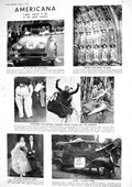 Old 1930 America Professor Einstein Gates Heather Wedding British Mus 20th