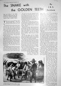 Old Print 1930 Snake Gen Teeth Pedro Senhor Esplendido Biologist Haldane 20th