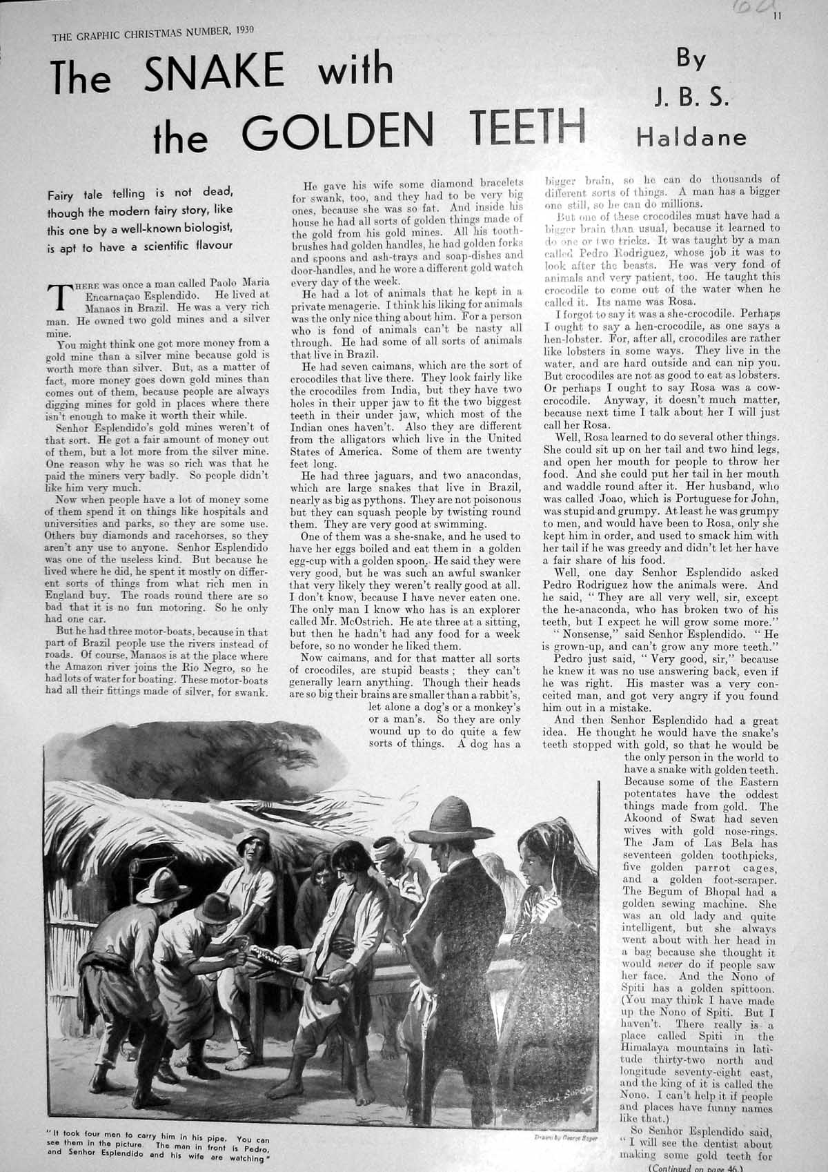 Old Print 1930 Snake Gen Teeth Pedro Senhor Esplendido Biologist Haldane 20th