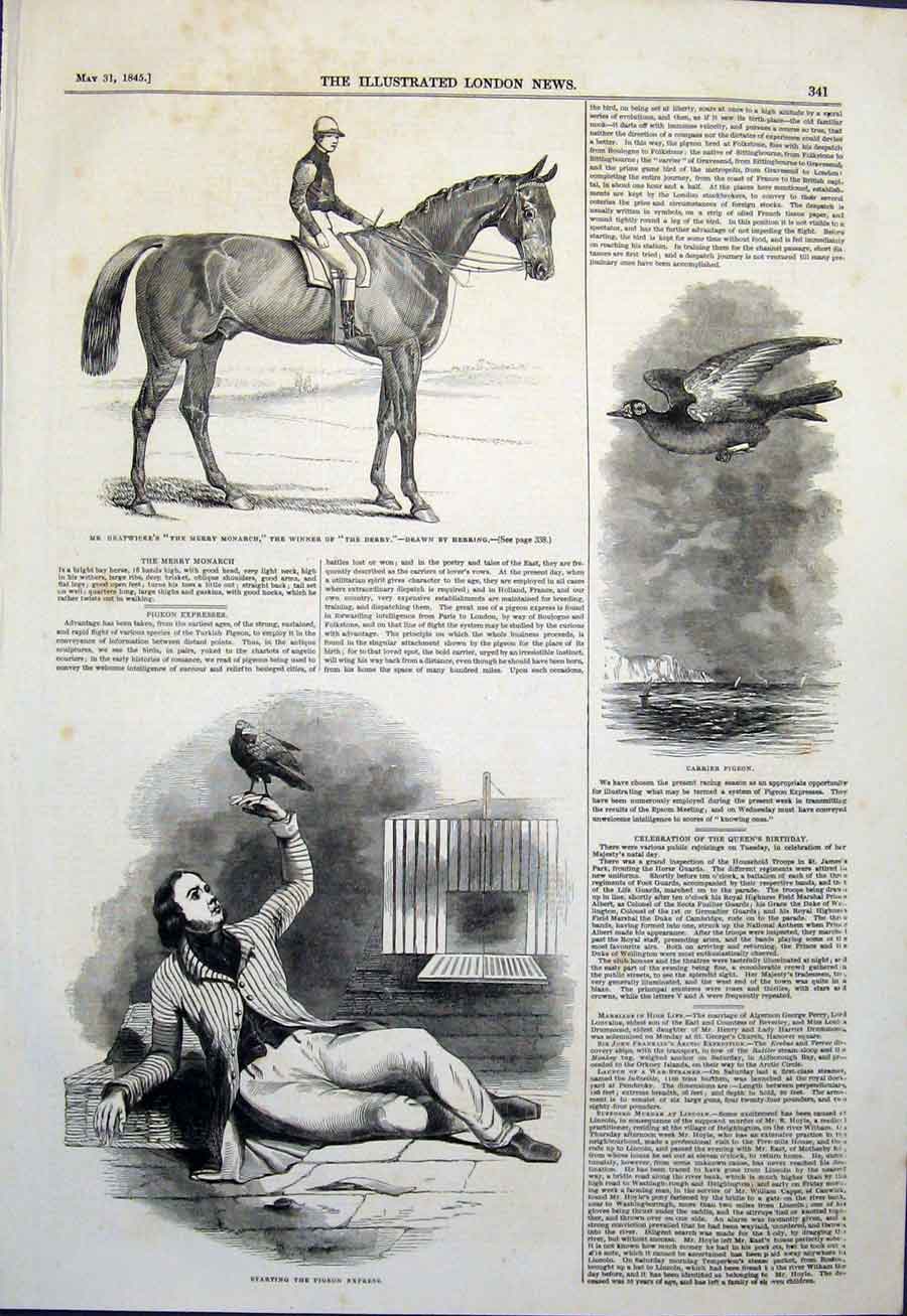 Original Old Antique Print Gratwicke Derby Horse Herring Pigeon Express Carrier
