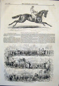 Old Antique Print Refraction Oaks Herring Race Horse Shrewsbury Show 1845 19th