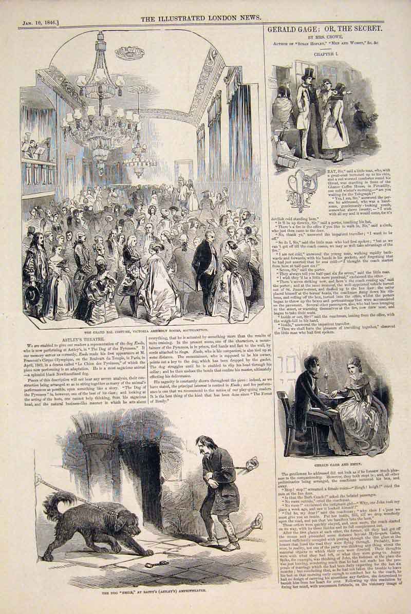 Old Antique Print Costume Ball Southampton Dog Batty'S Amphitheatre 1846 19th