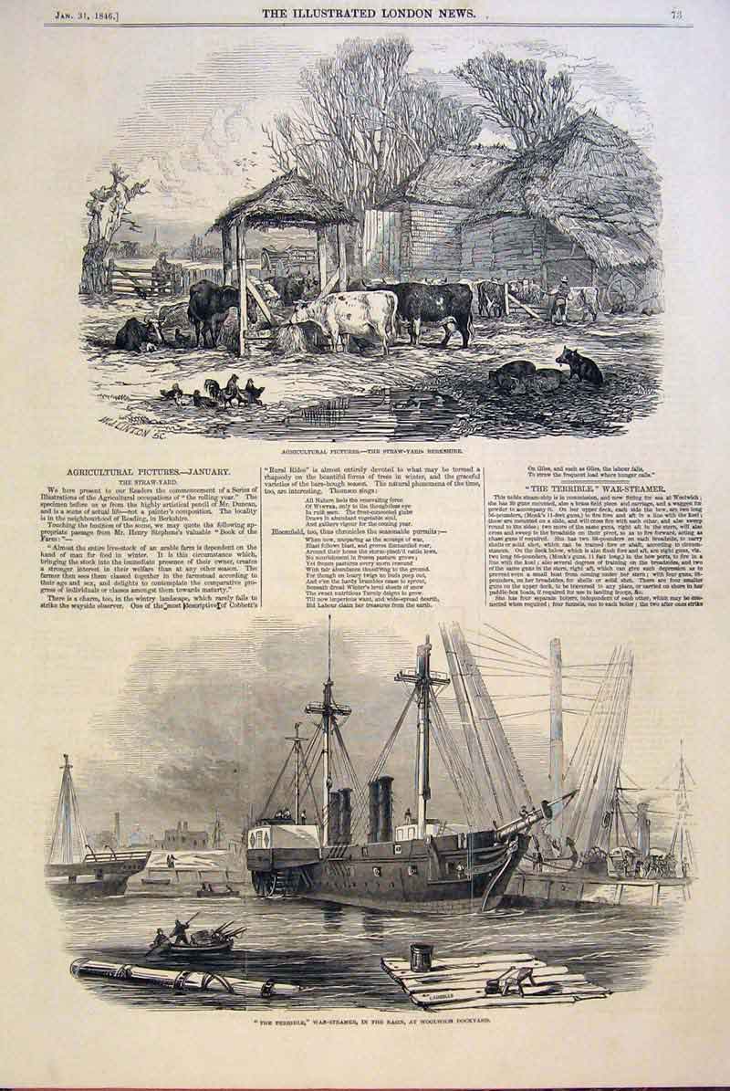 Original Old Antique Print Agriculture Straw Yard Berkshire Terrible War Steamer