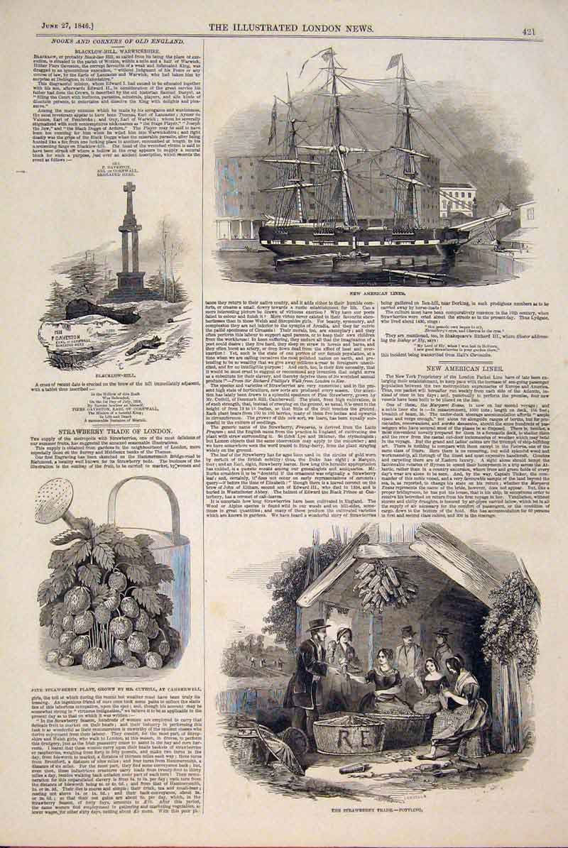 Original Old Antique Print Blacklow Warwickshire American Liner Ship Strawberry