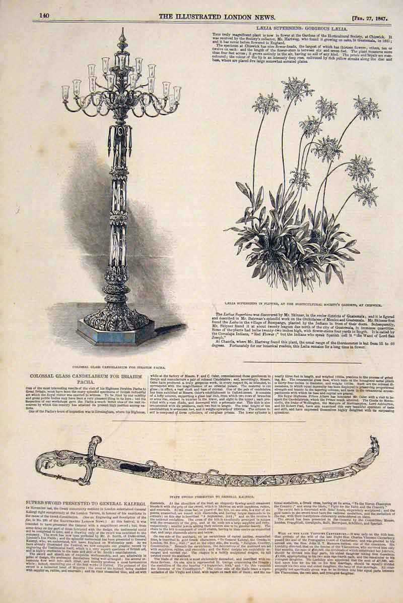 Original Old Antique Print Candleabrum Laelie Flower Chiswick Sword Kalergi 1847