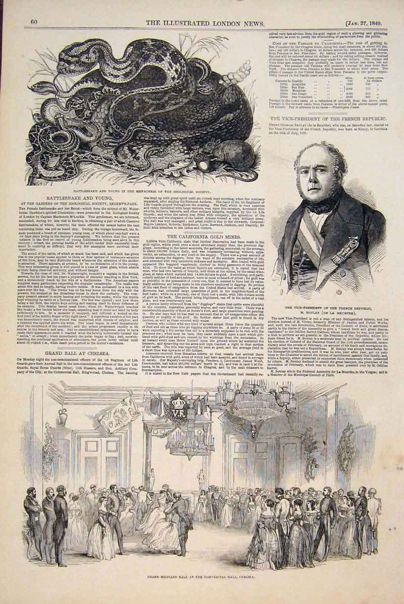 Original Old Antique Print Boulay French Snake Rattle Zoo Military Ball Chelsea