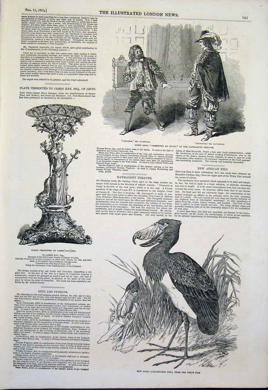 Old Antique Print Haymarket Theatre London Plate Hay Nile Bird Birds 1851 19th