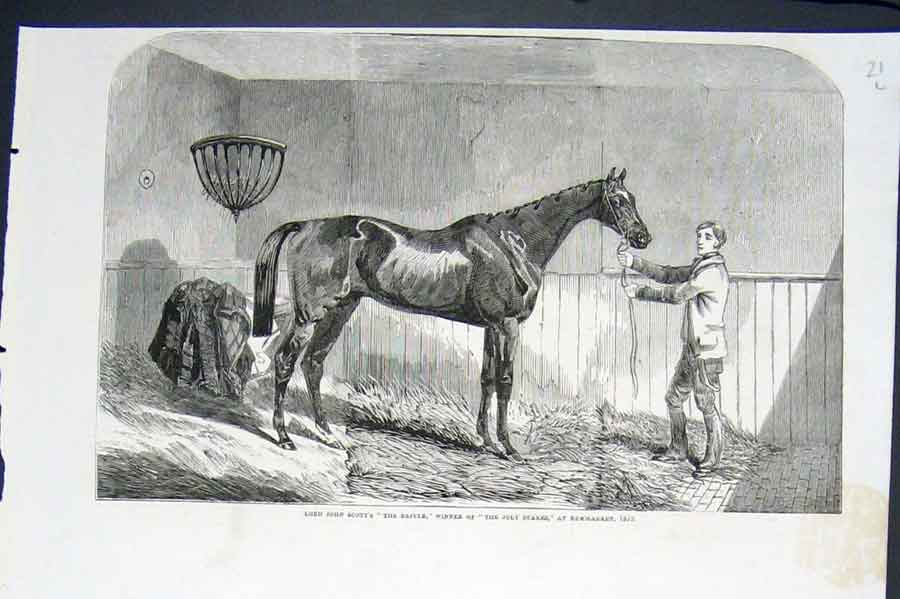 Old Antique Print Race Horse Scott Reiver Winner Newmarket Races Stakes