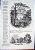 Original Old Antique Print Osborne Park Lodge London Queen Royal 1852 Victorian
