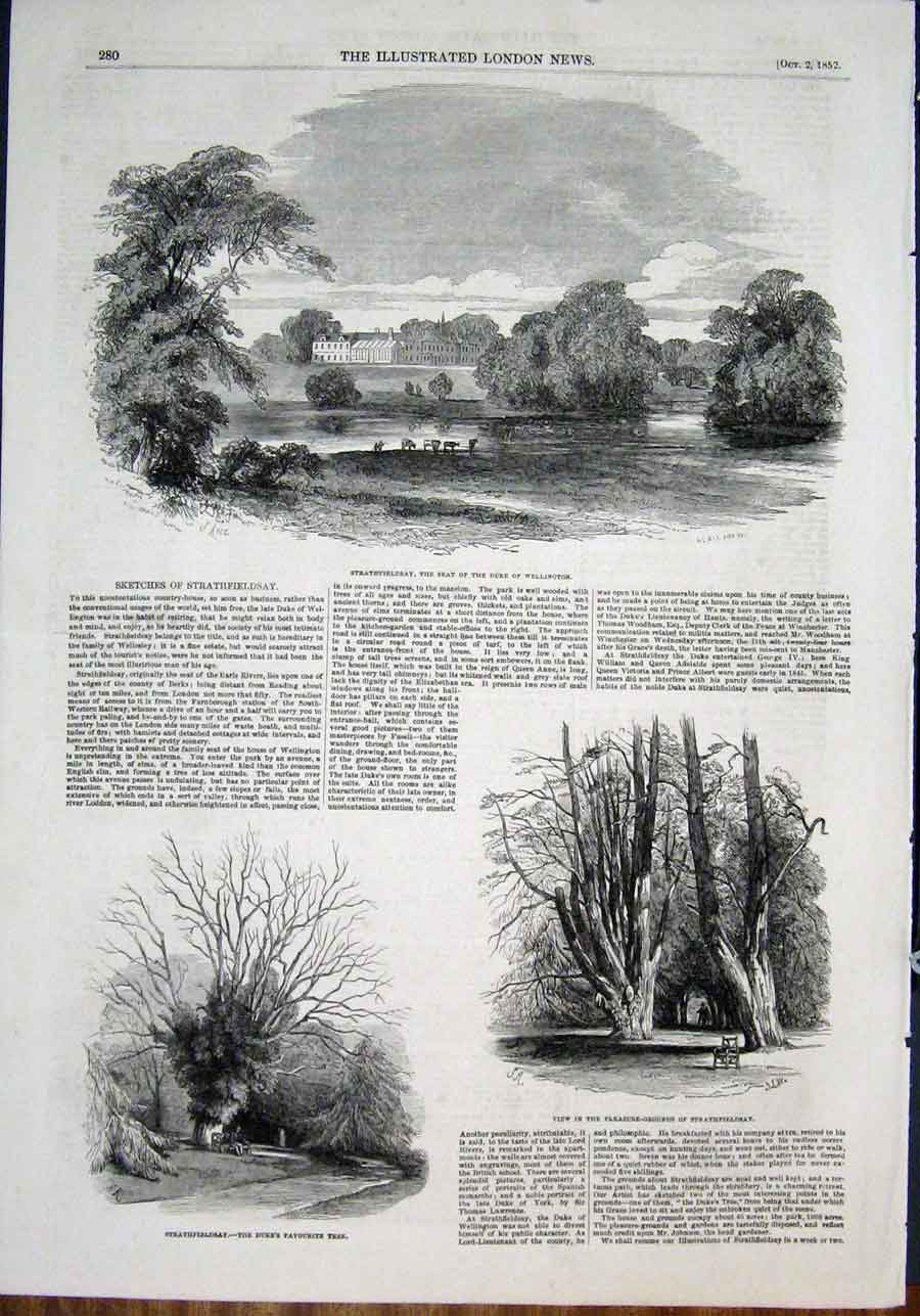 Original Old Antique Print Strathfieldsay Wellington Park Garden 1852 Victorian
