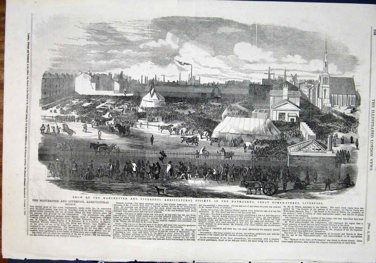 Old Antique Print Agricultural Show Liverpool Haymarket Manchester Homer