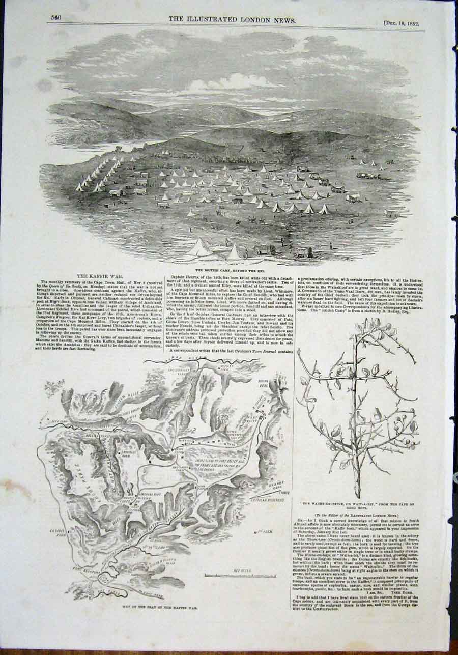 Original Old Antique Print Kei Kaffir War Africa Cape Town Tree Boer 1852 19th