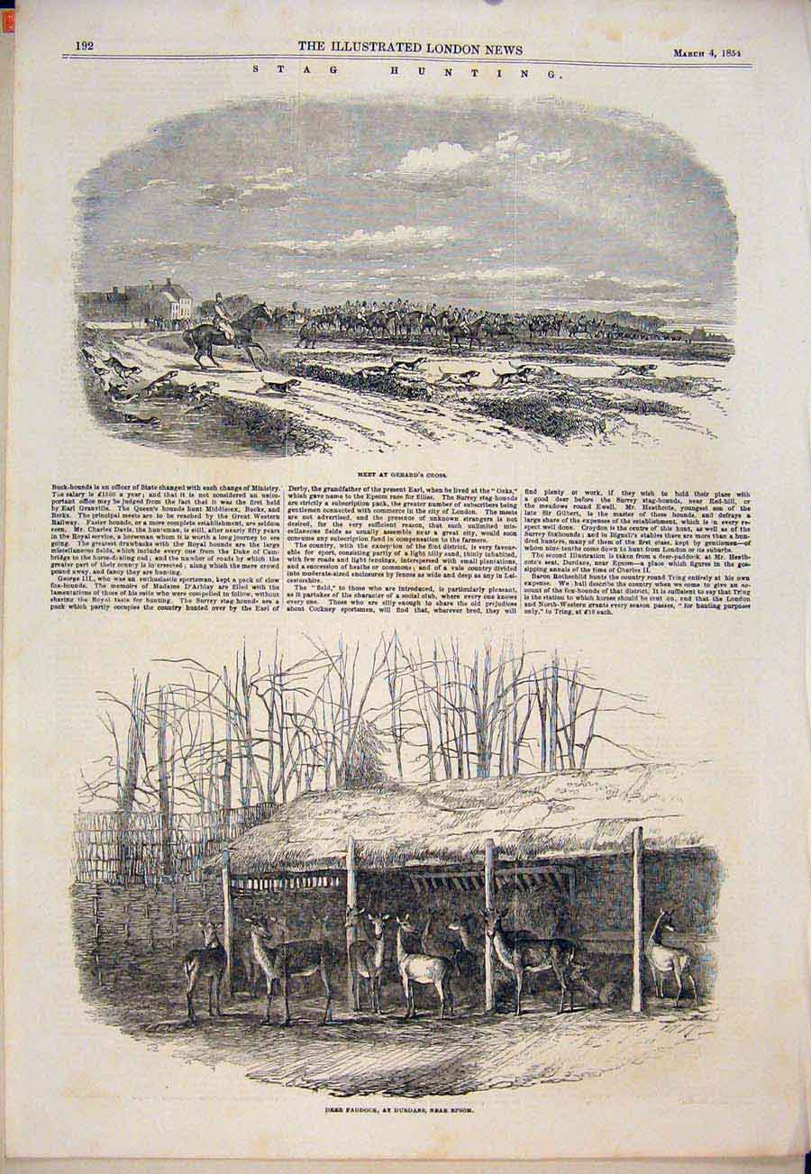 Original Old Antique Print Stag Hunting Hunt Gerard'S Cross Deer Durdans Epsom