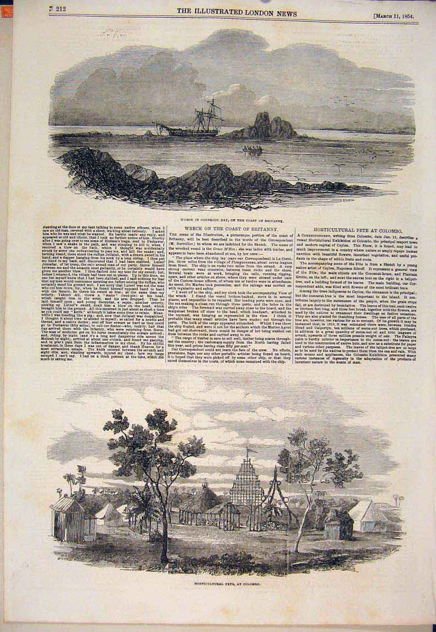 Original Old Antique Print Wreck Correjou Britanny Horticultural Fete Colombo