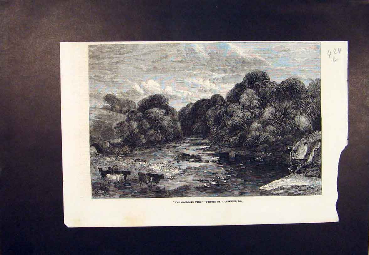 Original Old Antique Print Woodland Trees Creswick Cows River Cattle 1854 19th
