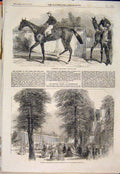 Old Antique Print Mincemeat Race Horse Crystal Palace Gardens Cheltenham