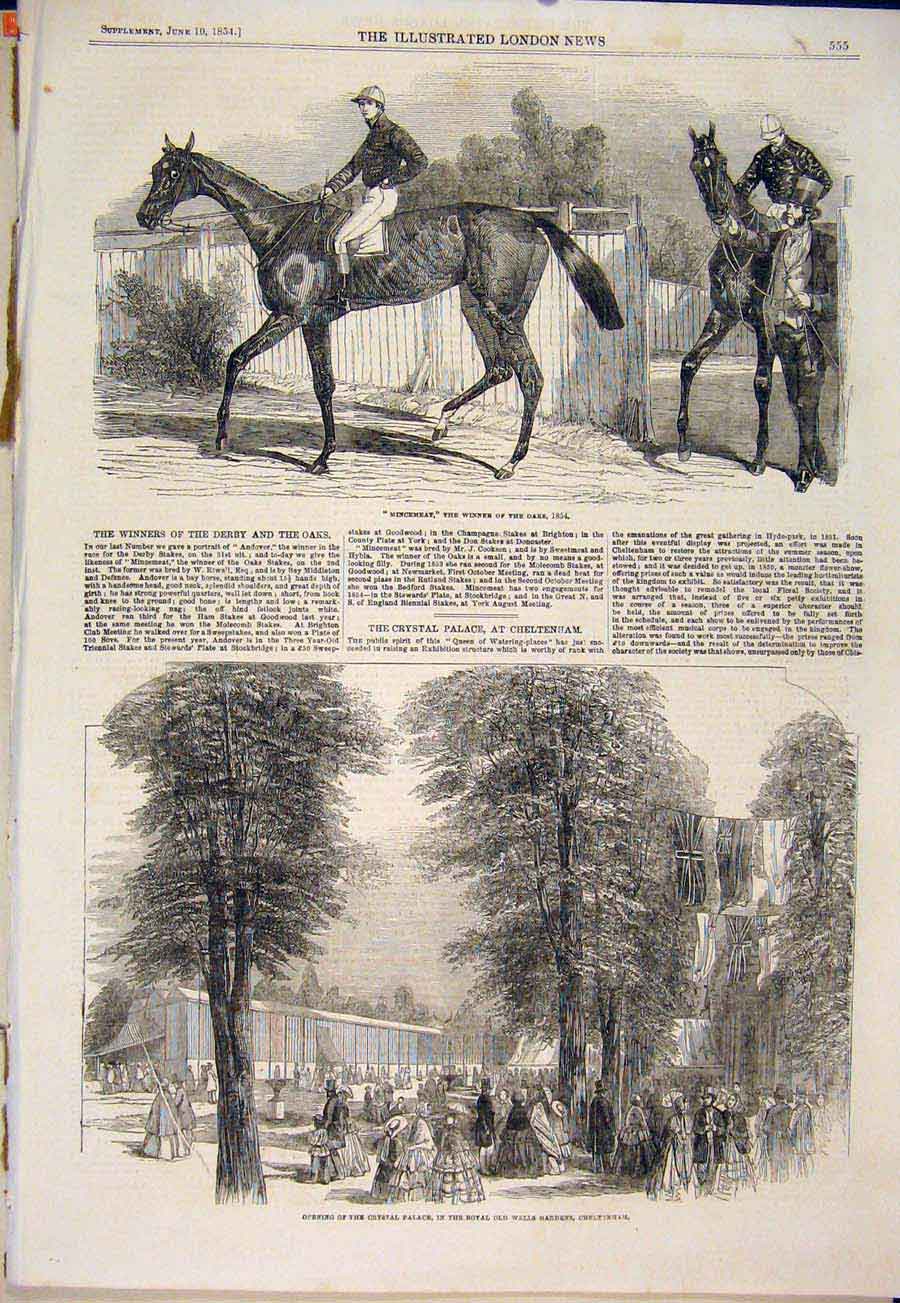 Old Antique Print Mincemeat Race Horse Crystal Palace Gardens Cheltenham