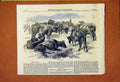 Original Old Antique Print Breton Cattle Brittany France 1859 19th