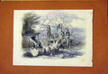 Original Old Antique Print Oak Barking 1859 19th Century