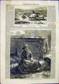 Original Old Antique Print Sheep Brittany France Painting Roberts 1859 Victorian
