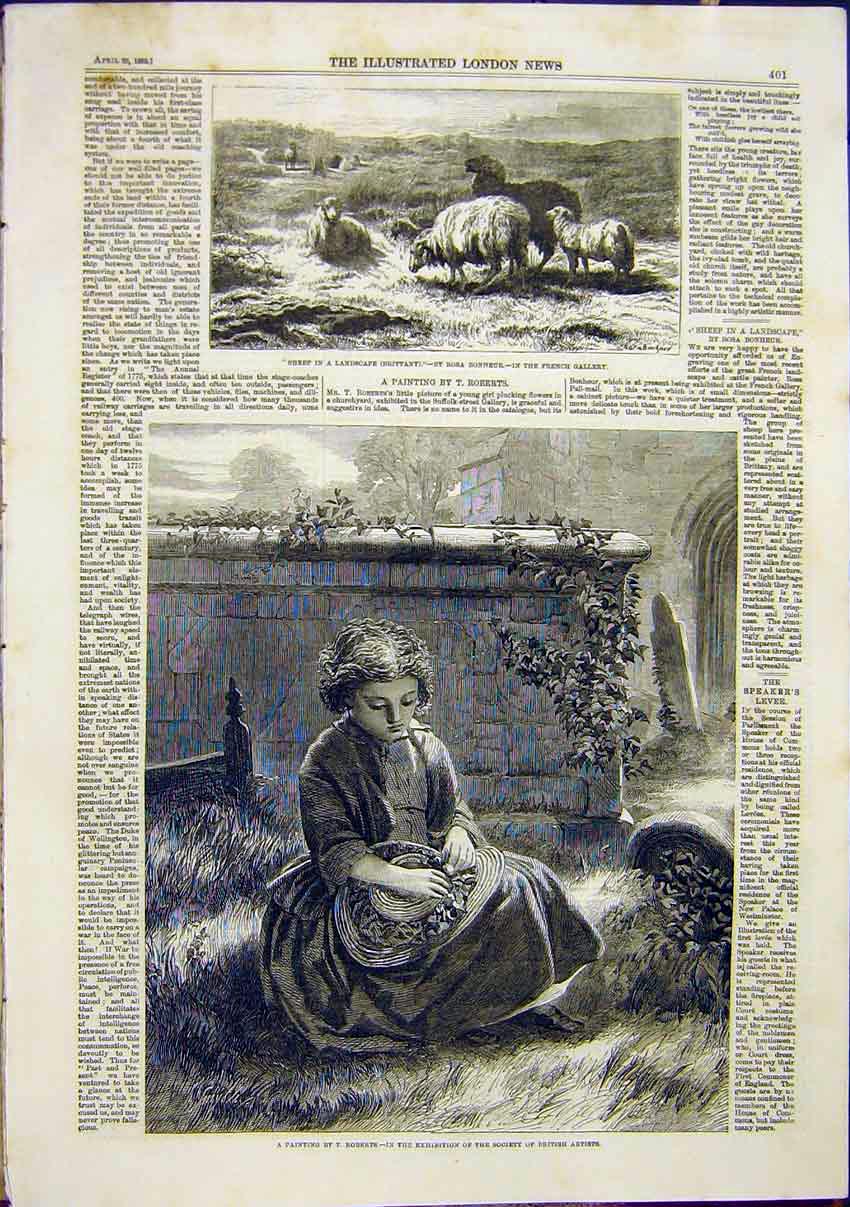 Original Old Antique Print Sheep Brittany France Painting Roberts 1859 Victorian