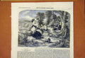 Original Old Antique Print Buttercups And Daisies James Godwin 1859 Victorian