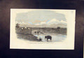 Original Old Antique Print Expedition Bhootan Himalayas Julpigoree 1865 19th