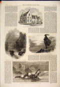 Original Old Antique Print Grammar School Banbury Lupton Colubus Eskimo Innuit