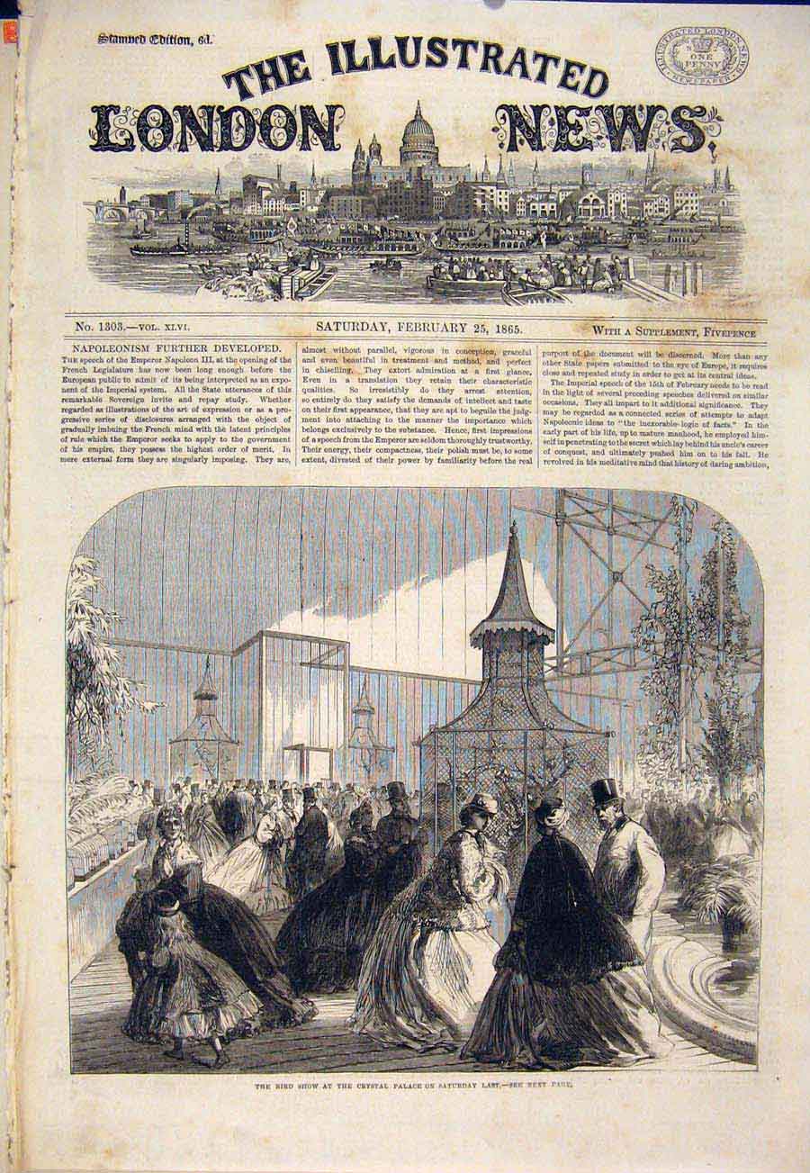 Original Old Antique Print Bird Show Crystal Palace London Birds 1865 Victorian