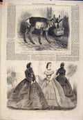 Original Old Antique Print Antelope Zoo London Regent'S Park Paris Fashions 1865