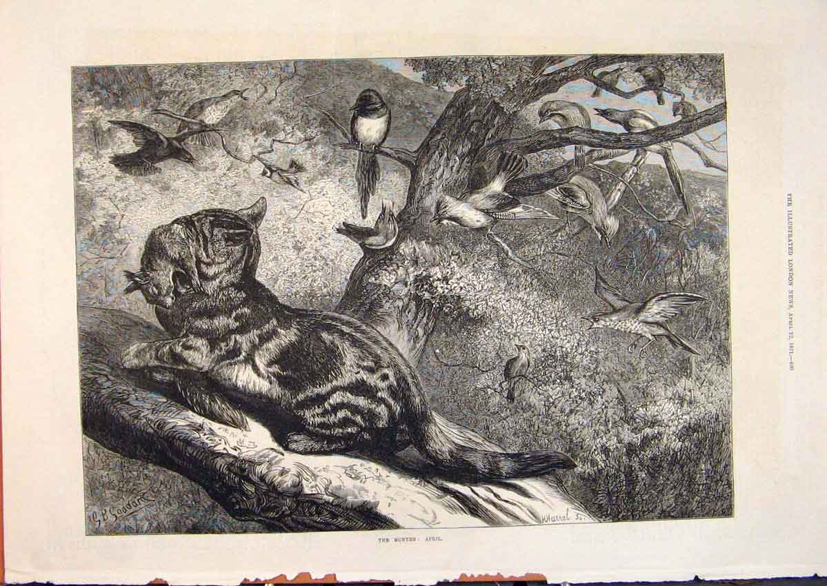 Original Old Antique Print April Goddard Spring Cat Birds Squirrel Fine Art 1871