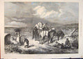 Original Old Antique Print New Forest Ponies Clearing Camp 1871 19th